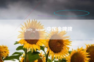 呼和浩特中国金牌牌