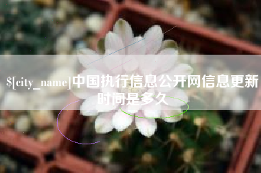呼和浩特中国执行信息公开网信息更新时间是多久