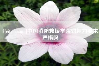 呼和浩特中国消防救援学院对视力要求严格吗