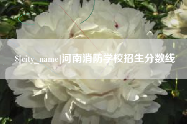 呼和浩特河南消防学校招生分数线