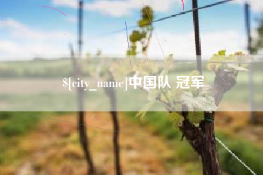 呼和浩特中国队 冠军
