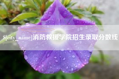 呼和浩特消防救援学院招生录取分数线