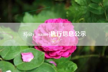 呼和浩特执行信息公示