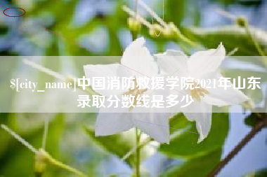 呼和浩特中国消防救援学院2021年山东录取分数线是多少