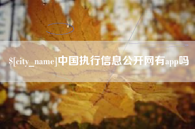 呼和浩特中国执行信息公开网有app吗
