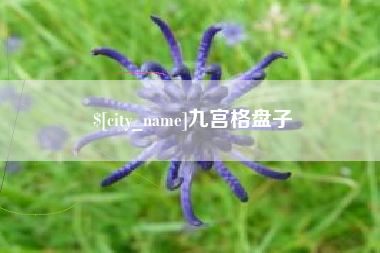 呼和浩特九宫格盘子
