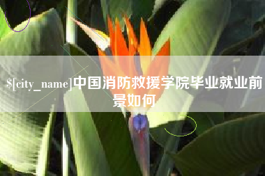 呼和浩特中国消防救援学院毕业就业前景如何