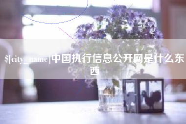 呼和浩特中国执行信息公开网是什么东西