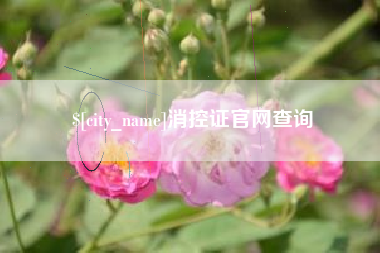 呼和浩特消控证官网查询