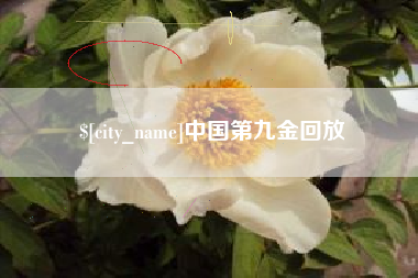 呼和浩特中国第九金回放
