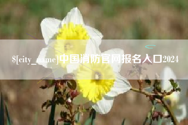 呼和浩特中国消防官网报名入口2024