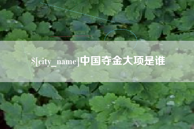 呼和浩特中国夺金大项是谁