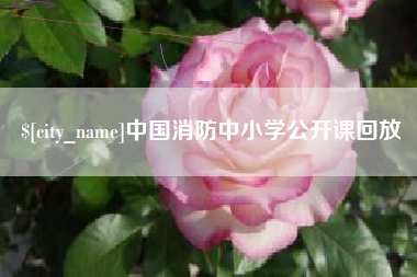 呼和浩特中国消防中小学公开课回放