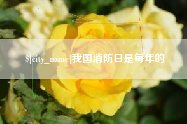 呼和浩特我国消防日是每年的