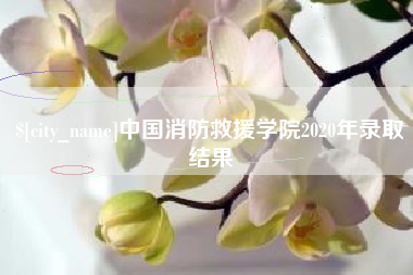 呼和浩特中国消防救援学院2020年录取结果