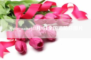 呼和浩特11月9日全国消防日图片