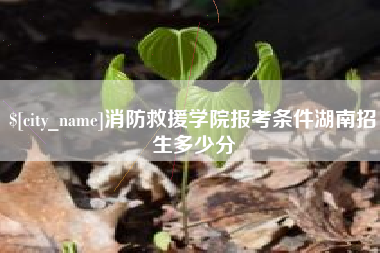 呼和浩特消防救援学院报考条件湖南招生多少分
