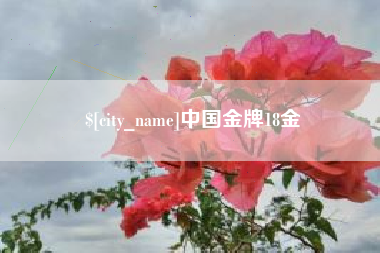 呼和浩特中国金牌18金