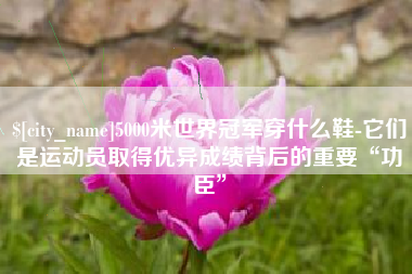 呼和浩特5000米世界冠军穿什么鞋-它们是运动员取得优异成绩背后的重要“功臣”