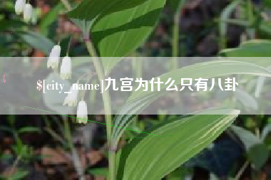 呼和浩特九宫为什么只有八卦