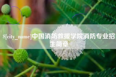 呼和浩特中国消防救援学院消防专业招生简章