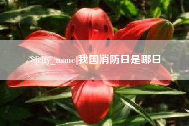 呼和浩特我国消防日是哪日