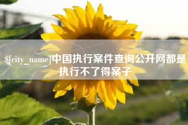 呼和浩特中国执行案件查询公开网都是执行不了得案子