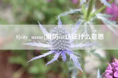 呼和浩特消防ccc认证什么意思