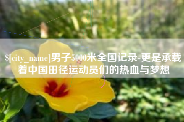 呼和浩特男子5000米全国记录-更是承载着中国田径运动员们的热血与梦想