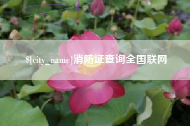 呼和浩特消防证查询全国联网