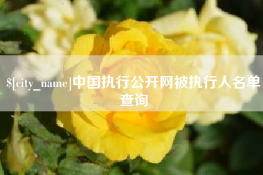 呼和浩特中国执行公开网被执行人名单查询