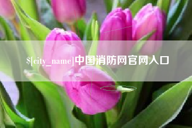 呼和浩特中国消防网官网入口