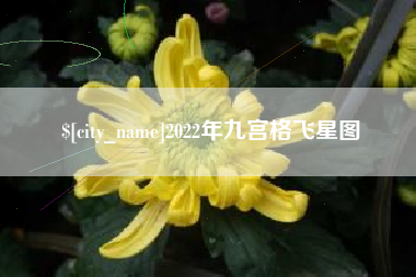 呼和浩特2022年九宫格飞星图