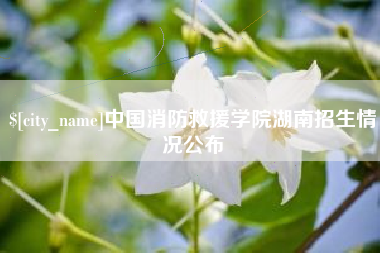 呼和浩特中国消防救援学院湖南招生情况公布