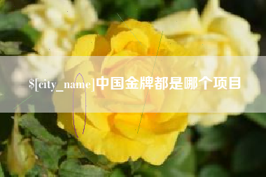 呼和浩特中国金牌都是哪个项目