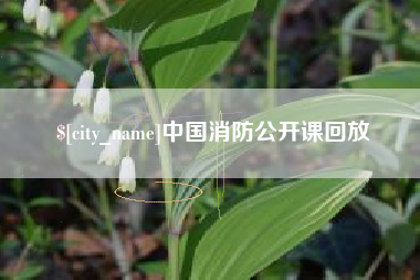 呼和浩特中国消防公开课回放