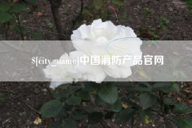 呼和浩特中国消防产品官网