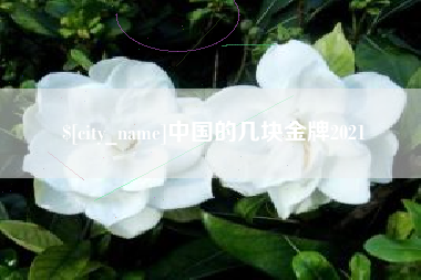 呼和浩特中国的几块金牌2021