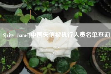 呼和浩特中国失信被执行人员名单查询