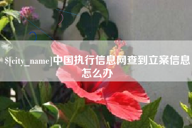 呼和浩特中国执行信息网查到立案信息怎么办
