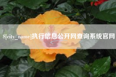 呼和浩特执行信息公开网查询系统官网