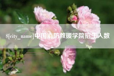 呼和浩特中国消防救援学院招生人数