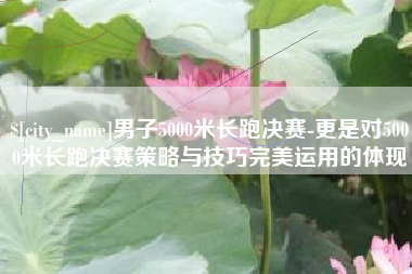 呼和浩特男子5000米长跑决赛-更是对5000米长跑决赛策略与技巧完美运用的体现