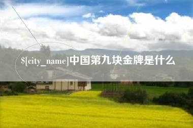 呼和浩特中国第九块金牌是什么