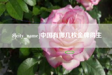呼和浩特中国有哪几枚金牌得主