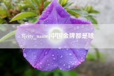 呼和浩特中国金牌都是啥