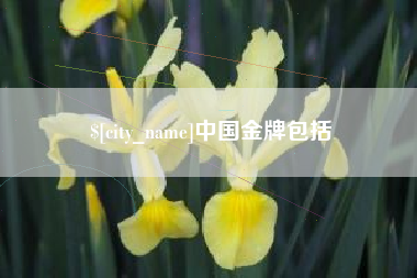 呼和浩特中国金牌包括