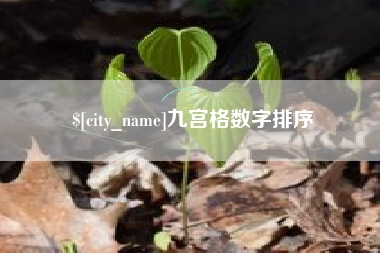 呼和浩特九宫格数字排序