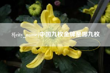 呼和浩特中国九枚金牌是哪九枚