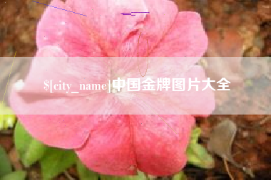 呼和浩特中国金牌图片大全